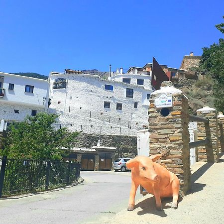 La Casa De La Bombilla Verde Trevelez Luaran gambar