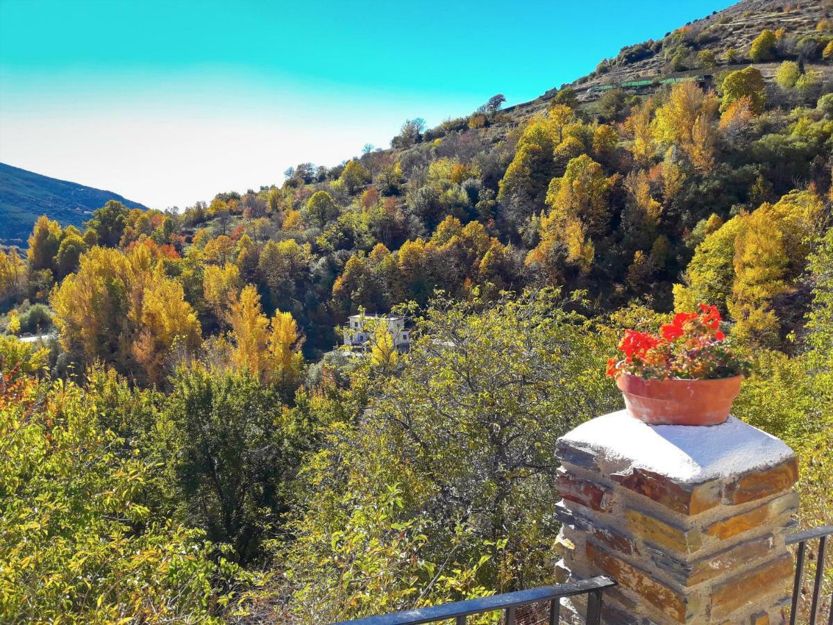 La Casa De La Bombilla Verde Trevelez Luaran gambar